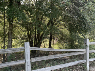 Fototapeta premium NC Hville Loose Fence Rail 2025