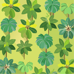 collection of green trees top view for landscape plan and architecture drawing,element for garden and environment,banana tree