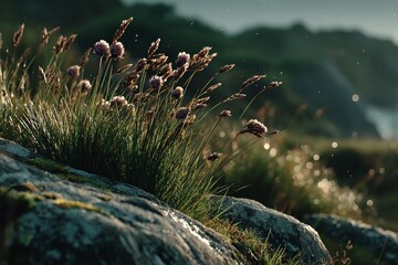 Vibrant wildflowers bloom beside rocky terrain during golden hour near a serene coastal landscape