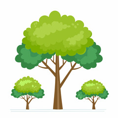 Vector set of tropical green tree side view isolated on white background for landscape and architecture drawing, elements for environment and garden in .