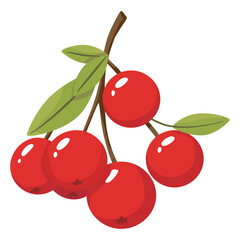 red berries