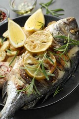 Tasty roasted dorado fish with potatoes, rosemary and lemon on grey table, closeup. Homemade seafood dish