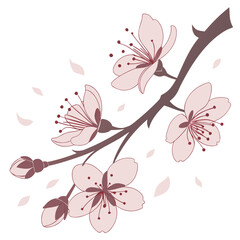 Fototapeta premium Diagonal Blossom Logo for Elegant Branding 