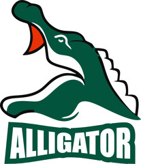 Vector of crocodile Logo design on white background. Wild Animals. Reptile. Alligator Logo Easy editable layered vector illustration.