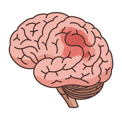 brain injury showing the red affected area of the brain a medical depiction showing stroke symptoms for educational use