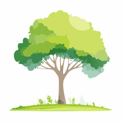 Vector watercolor of green tree side view isolated on white background for landscape and architecture drawing, elements for environment and garden, painting botanical for section and .