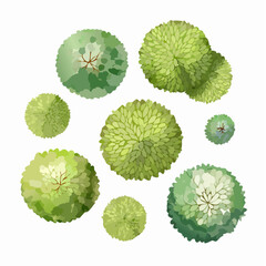 set of watercolor green trees top view for landscape plan and architecture layout or gardening