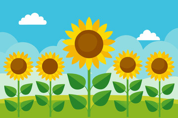 sunflower on the field