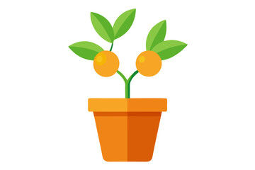 plant in a pot