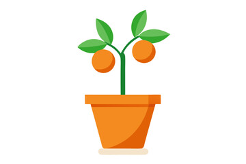 plant in a pot