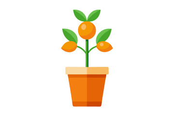 flower in a pot