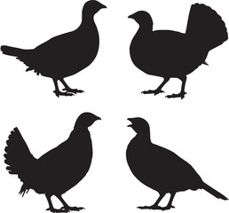 Fototapeta premium Four black silhouettes of game birds grouse quail