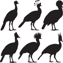 Fototapeta premium Six black bird silhouettes with ornate crests avian