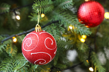 Red Christmas ball hanging on fir tree, closeup