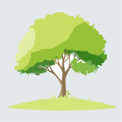 watercolor green tree side view isolated on white background for landscape and architecture layout drawing, elements for environment and garden