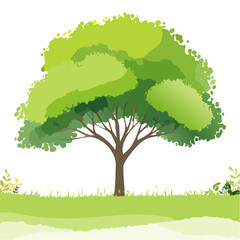 watercolor green tree side view isolated on white background for landscape and architecture layout drawing, elements for environment and garden