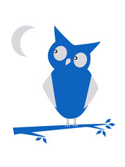 blue owl