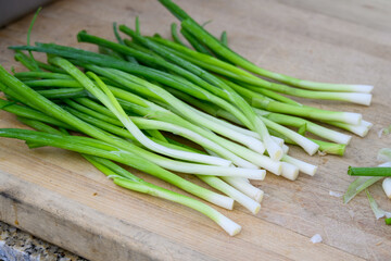 Fresh organic green onions washed and prepared for slicing to use as an ingredient, part of luau dinner preparations 
