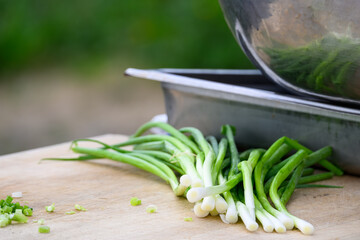 Fresh organic green onions washed and prepared for slicing to use as an ingredient, part of luau...