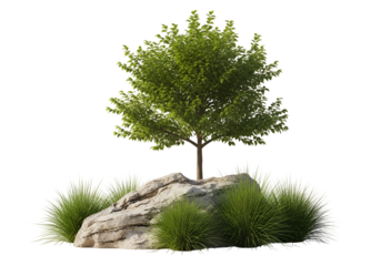 A tranquil scene featuring a small tree atop a large rock surrounded by vibrant grass.
