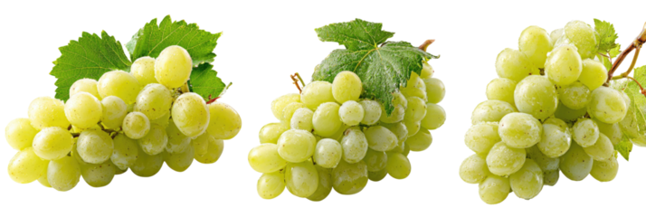 Three clusters of pale yellow-green grapes, each with leaves and stems, isolated against a black background