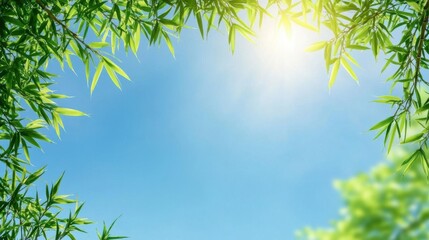 Naklejka premium Gazing Upward At Bamboo Leaves Against a Clear Sky with Bright Sunlight.