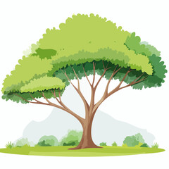 watercolor of tree side view isolated on white background for landscape and architecture drawing, elements for environment and garden, painting botanical for secti