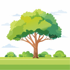 Vector watercolor of tree side view isolated on white background for landscape and architecture drawing, elements for environment and garden, painting botanical for secti