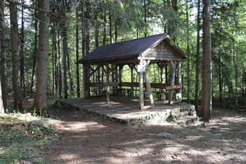 House in the woods. Hiling and trail in summer and outdoor activities. Forest shelter in wood and in a park. Walk in the forest. 