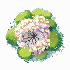 Vector watercolor of blooming tree top view isolated on white background for landscape plan and architecture drawing, elements for environment and garden,botanical elements ,blooming autu