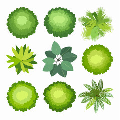 Isolated Vector Collection of Tropical Green Tree Canopies on White Background, Ideal for Landscape Planning and Architectural Design, Elements for Garden and Environment. © VectorVibe