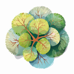 vector of abstract watercolor tree top view isolated on white background for landscape plan and architecture layout drawing, elements for environment and gard