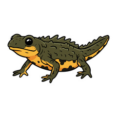 Obraz premium great crested newt vector illustration