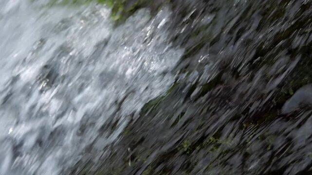 きれいな水が流れる急流 5倍スローモーション