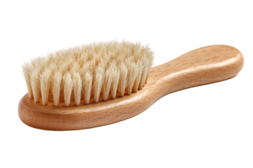 Close-up of a small, oval-shaped baby brush.  Soft, light-cream colored bristles cover the brush head.  The handle is light-brown wood