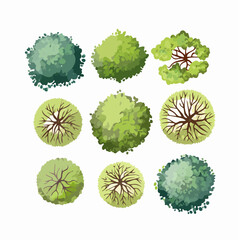 Isolated Watercolor Tree Top View Collection for Landscape Planning and Architectural Design Elements