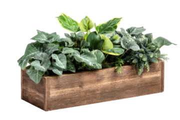 Wooden planter box filled with various greenery