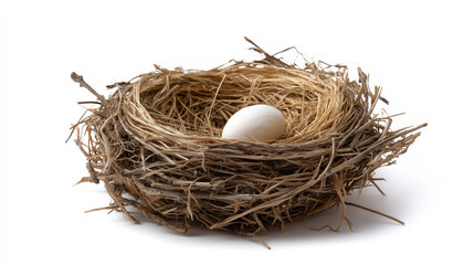 Beautiful natural bird nest with delicate egg showcasing wildlife habitat outdoor environment rustic scenery ecological harmony and peaceful rural scenery