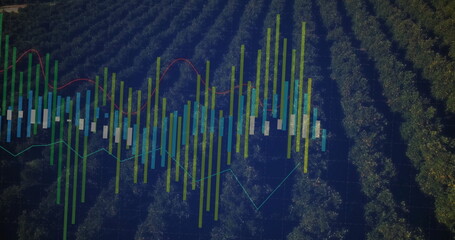 Displaying financial chart overlaying orchard view, with candlestick bars and colored line graphs