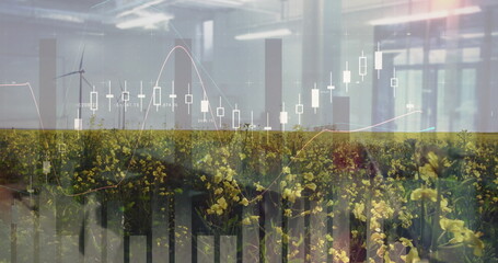 Merging yellow field with candlestick chart overlays on office interior, featuring wind turbine