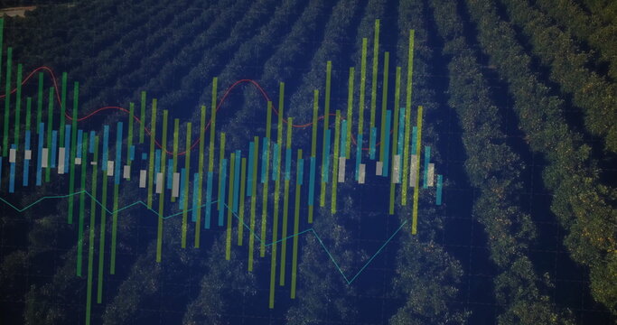 Displaying financial chart overlaying orchard view, with candlestick bars and colored line graphs