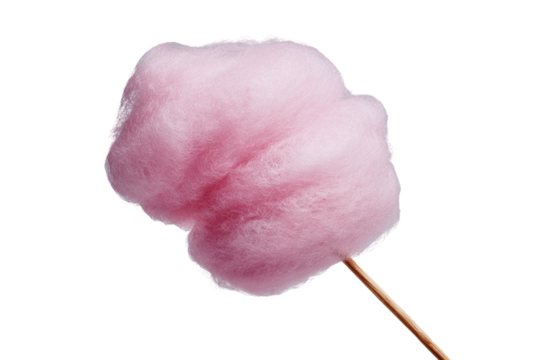 Fluffy pink cotton candy on a stick (1)