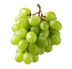 Close-up of a bunch of pale green grapes.  Clusters of round, juicy-looking grapes, wet with a light sheen, are attached to a stem.  Against a pure black background, the grapes are in sharp focus