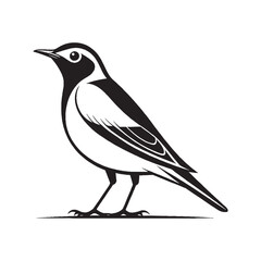 Sitting Birds Silhouette Vector Illustration