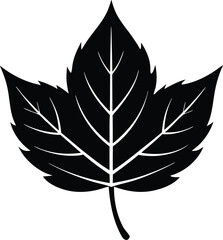 Autumn leaf vector icon.eps