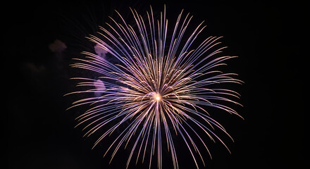 A single firework exploding in the night sky with golden and purple streaks radiating outward