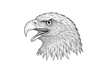 Vector illustration of a wild eagle head with a sharp beak, detailed feathers, and a piercing eye