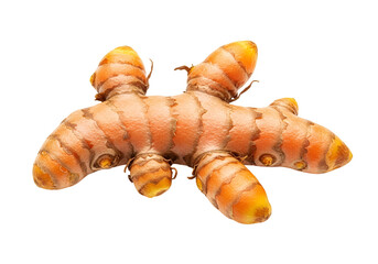 A whole, vibrant turmeric root, showcasing its distinctive orange-yellow hues and intricate, striated texture against a stark black background.