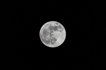 full moon in the night