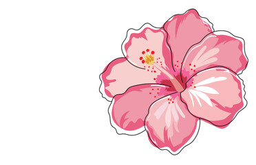 Fototapeta premium A vibrant pink hibiscus flower illustration with detailed petals and a bright stamen.